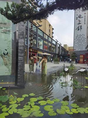 探訪成都荷花池 傳統貿易市場向現代消費商圈轉型|了不起的我們