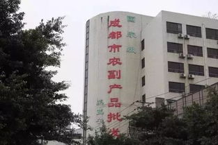 城市變遷的見證 五塊石客運(yùn)站再會(huì)，班線調(diào)遷與商品批發(fā)貿(mào)易新篇章